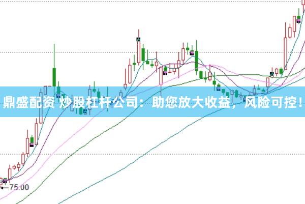 鼎盛配资 炒股杠杆公司：助您放大收益，风险可控！