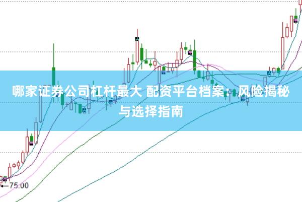 哪家证券公司杠杆最大 配资平台档案:风险揭秘与选择指南