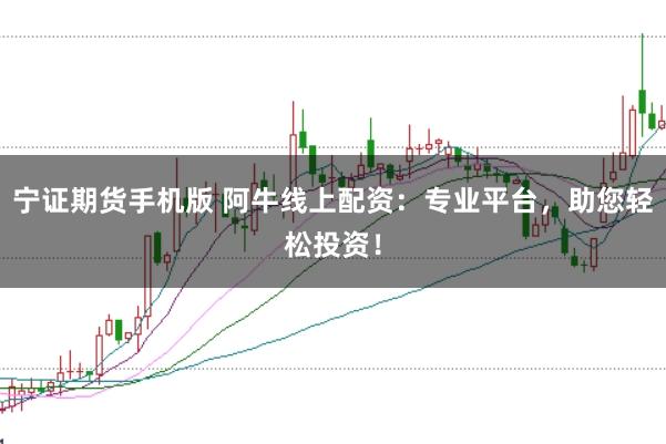 宁证期货手机版 阿牛线上配资:专业平台,助您轻松投资!