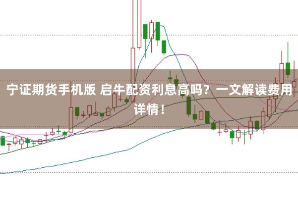 宁证期货手机版 启牛配资利息高吗?一文解读费用详情!