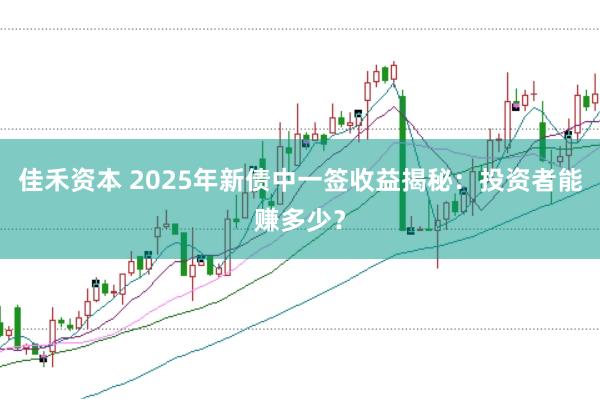 佳禾资本 2025年新债中一签收益揭秘：投资者能赚多少？
