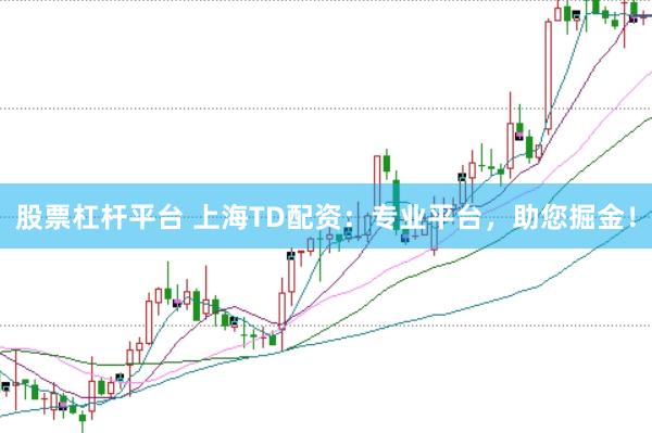 股票杠杆平台 上海TD配资：专业平台，助您掘金！
