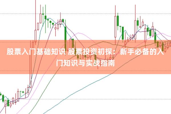 股票入门基础知识 股票投资初探:新手必备的入门知识与实战指南