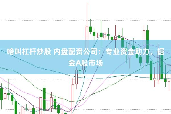 啥叫杠杆炒股 内盘配资公司：专业资金助力，掘金A股市场