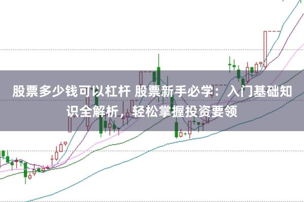 股票多少钱可以杠杆 股票新手必学：入门基础知识全解析，轻松掌握投资要领