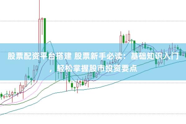 股票配资平台搭建 股票新手必读:基础知识入门,轻松掌握股市投资要点