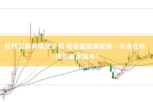 杠杆股票有哪些公司 易信盈股票配资：专业杠杆，助您掘金股市！