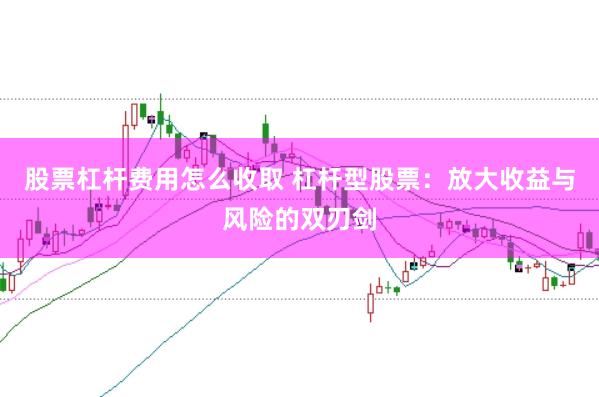 股票杠杆费用怎么收取 杠杆型股票：放大收益与风险的双刃剑
