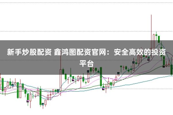 新手炒股配资 鑫鸿图配资官网：安全高效的投资平台