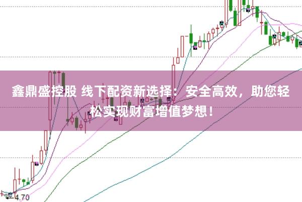 鑫鼎盛控股　 线下配资新选择：安全高效，助您轻松实现财富增值梦想！