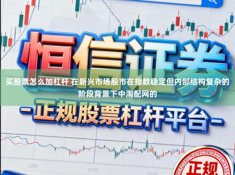 买股票怎么加杠杆 在新兴市场股市在指数稳定但内部结构复杂的阶段背景下中淘配网的