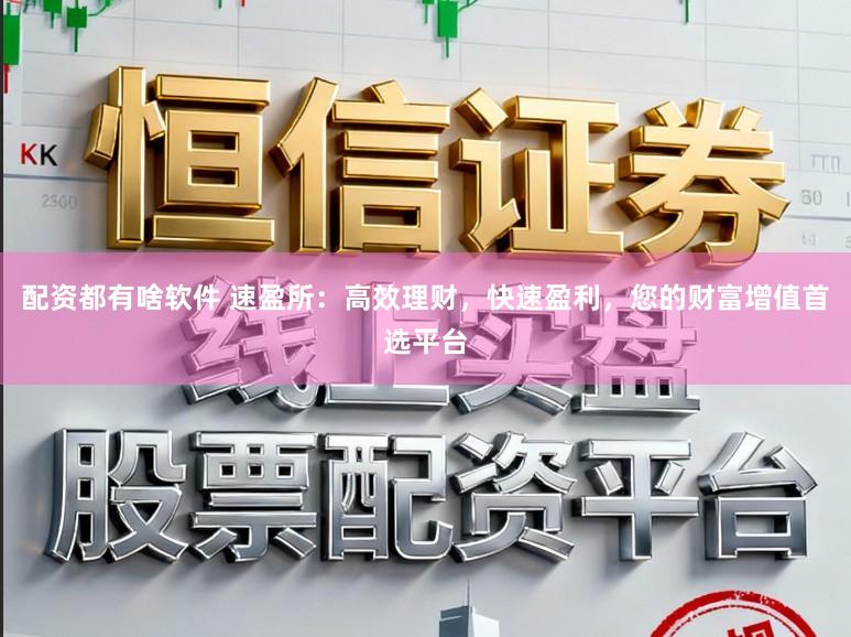 配资都有啥软件 速盈所：高效理财，快速盈利，您的财富增值首选平台