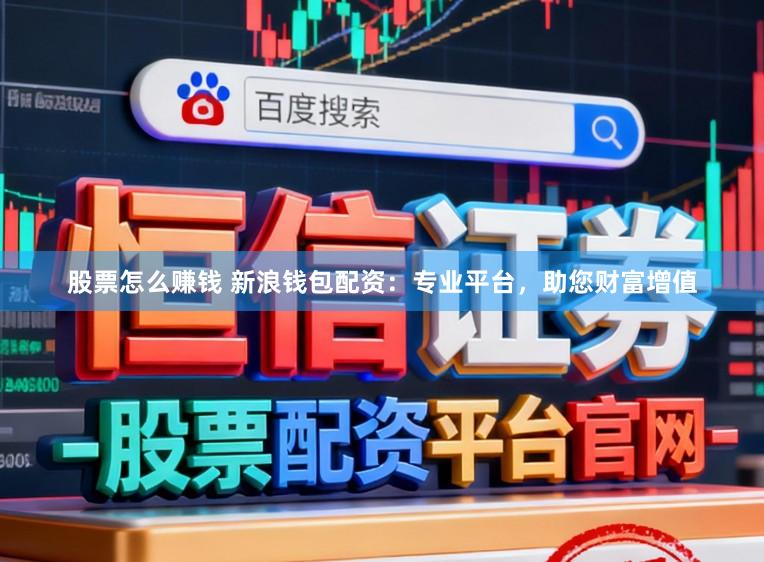 股票怎么赚钱 新浪钱包配资：专业平台，助您财富增值