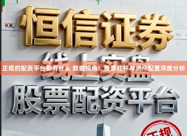 正规的配资平台都有什么 数据视角：股票杠杆与资产配置深度分析